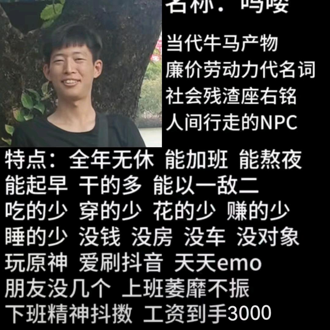 云A剪辑师盘点搞笑娱乐  遵纪