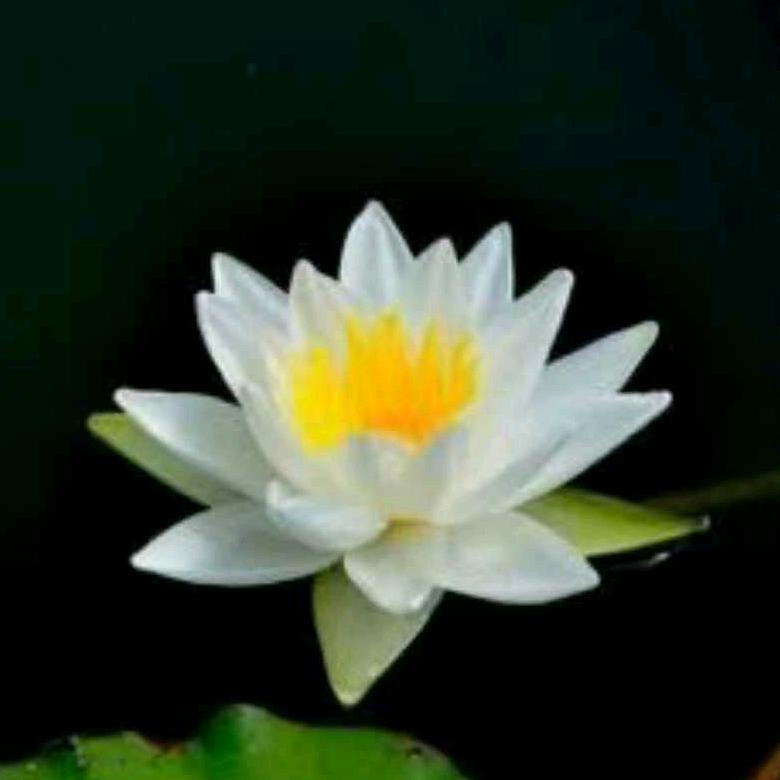 感恩所有
