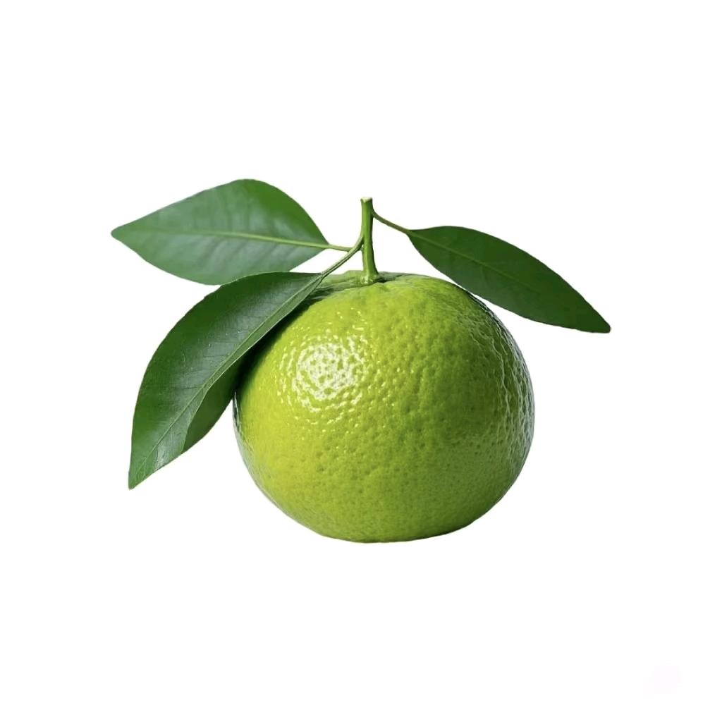 初一🍒