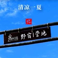 森林王国野宿营地官方号