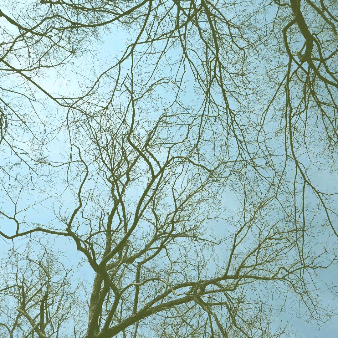 止闲