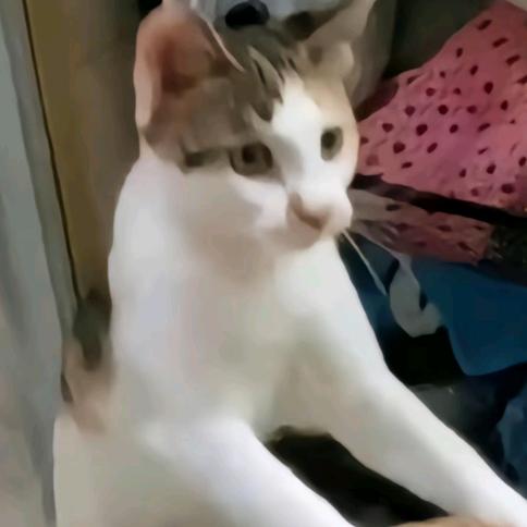 溟王