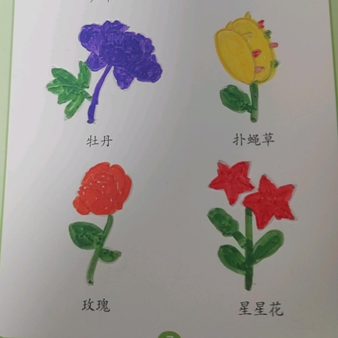 独一无二的女王