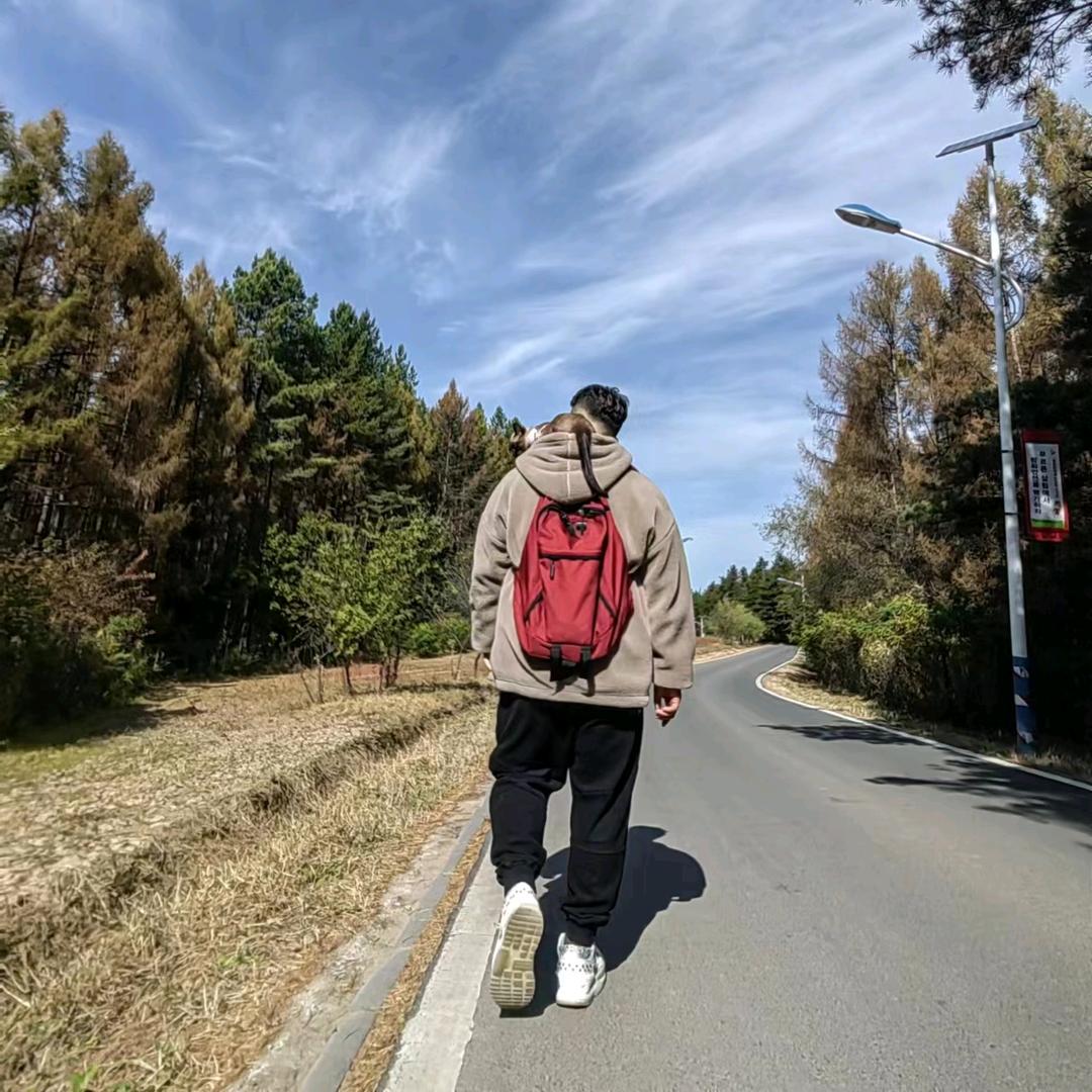 罗深塔尔效应→张教