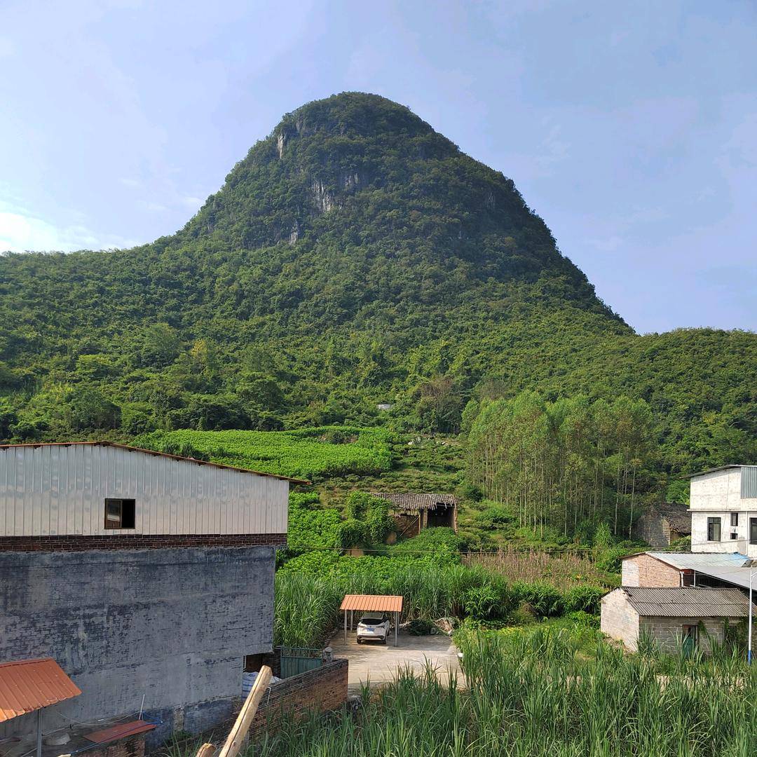 听，那是阳光的声音