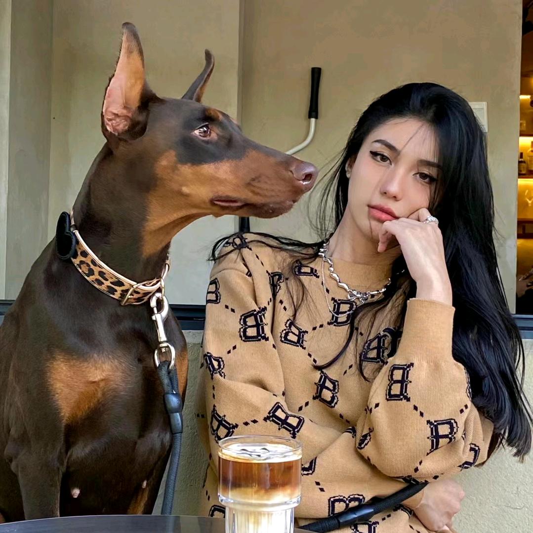 下辈子不犯蠢