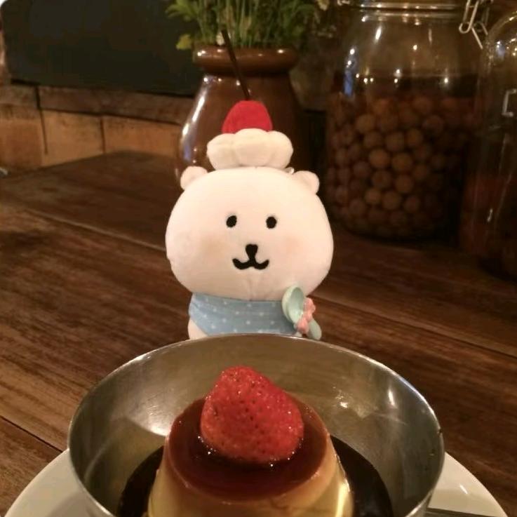 养老院一枝花儿～✨