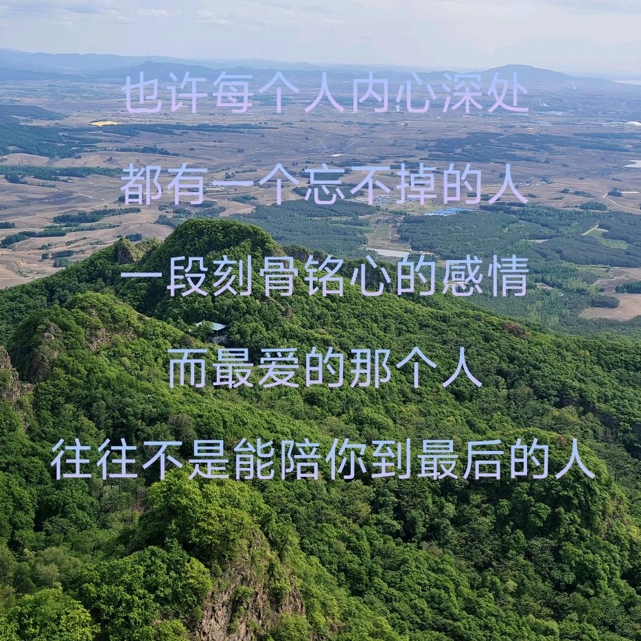 ✨残风冷月✨