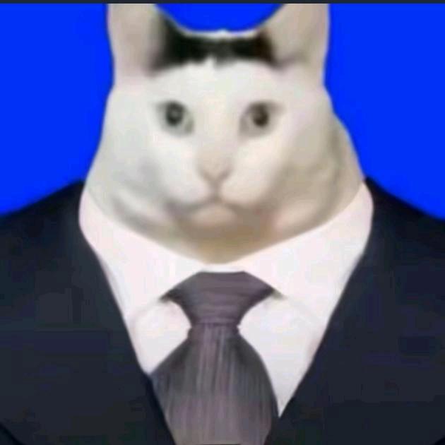 黑蟒炒鸡