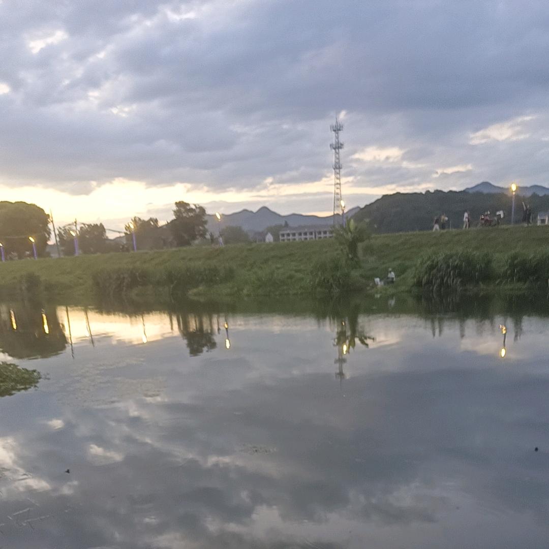 可乐爱钓鱼