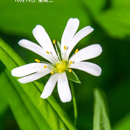 安心
