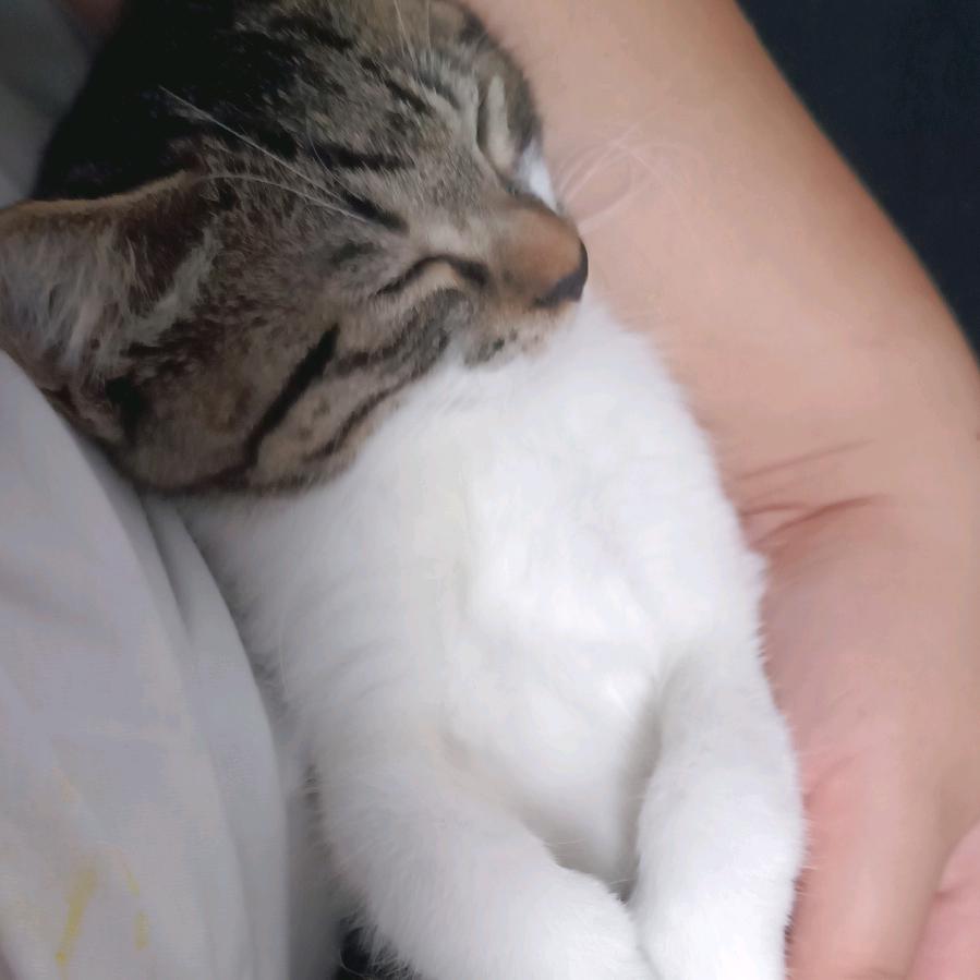 oi呦