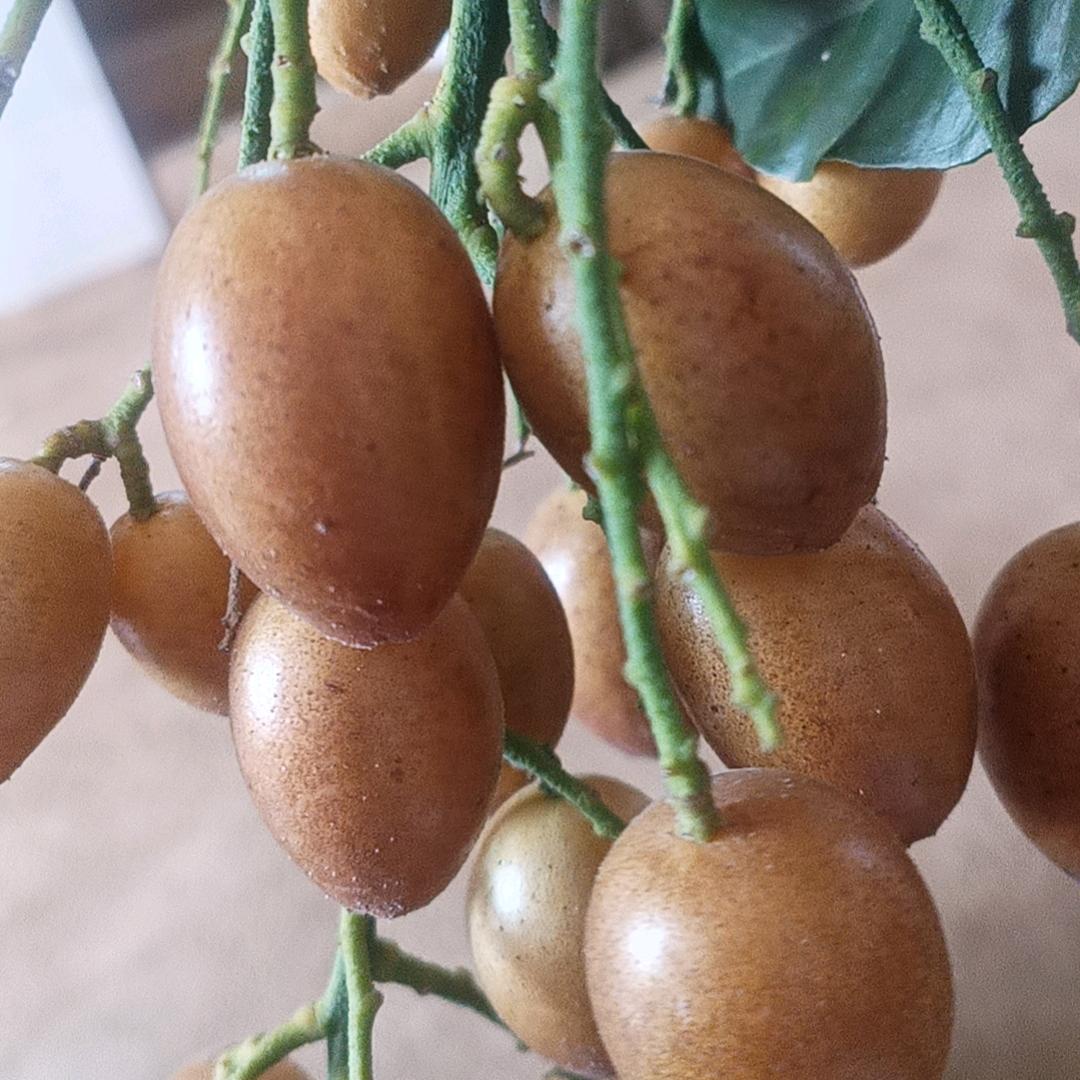 千古一醉