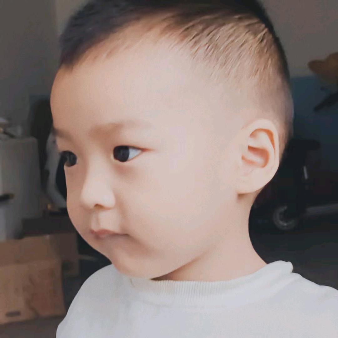 笨蛋小狗