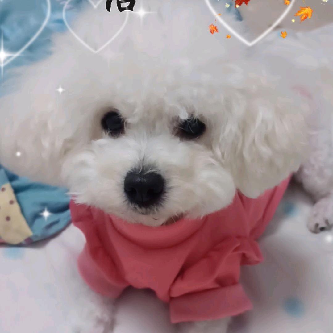 🍒莎莎🍖