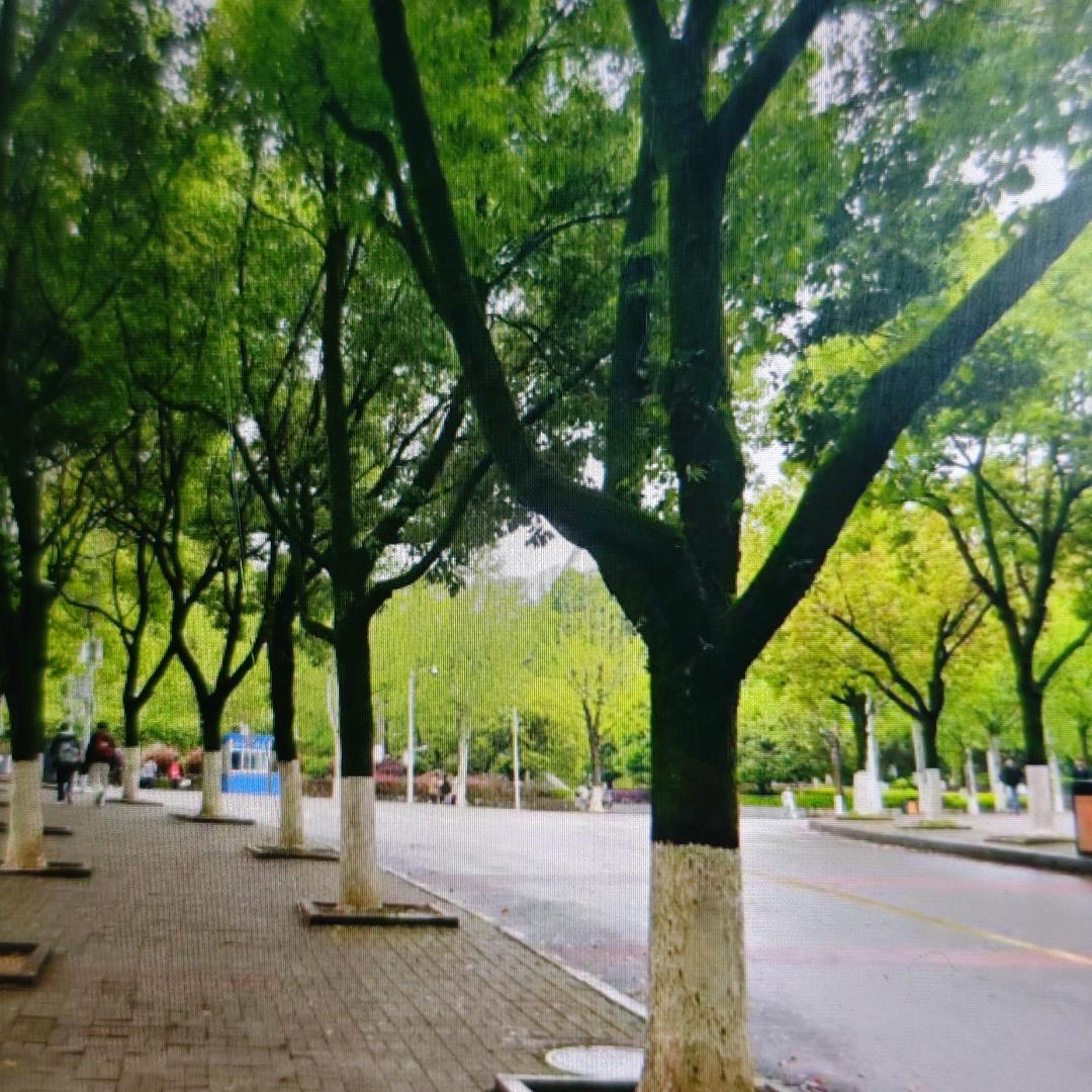 春花秋实，越来越好