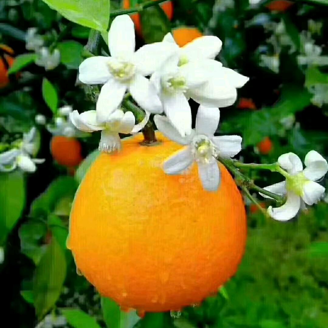 💞ღ. এ᭄ོ莉ོ莉💕⁵²º᭄এ