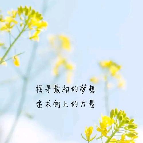 @别了曾经