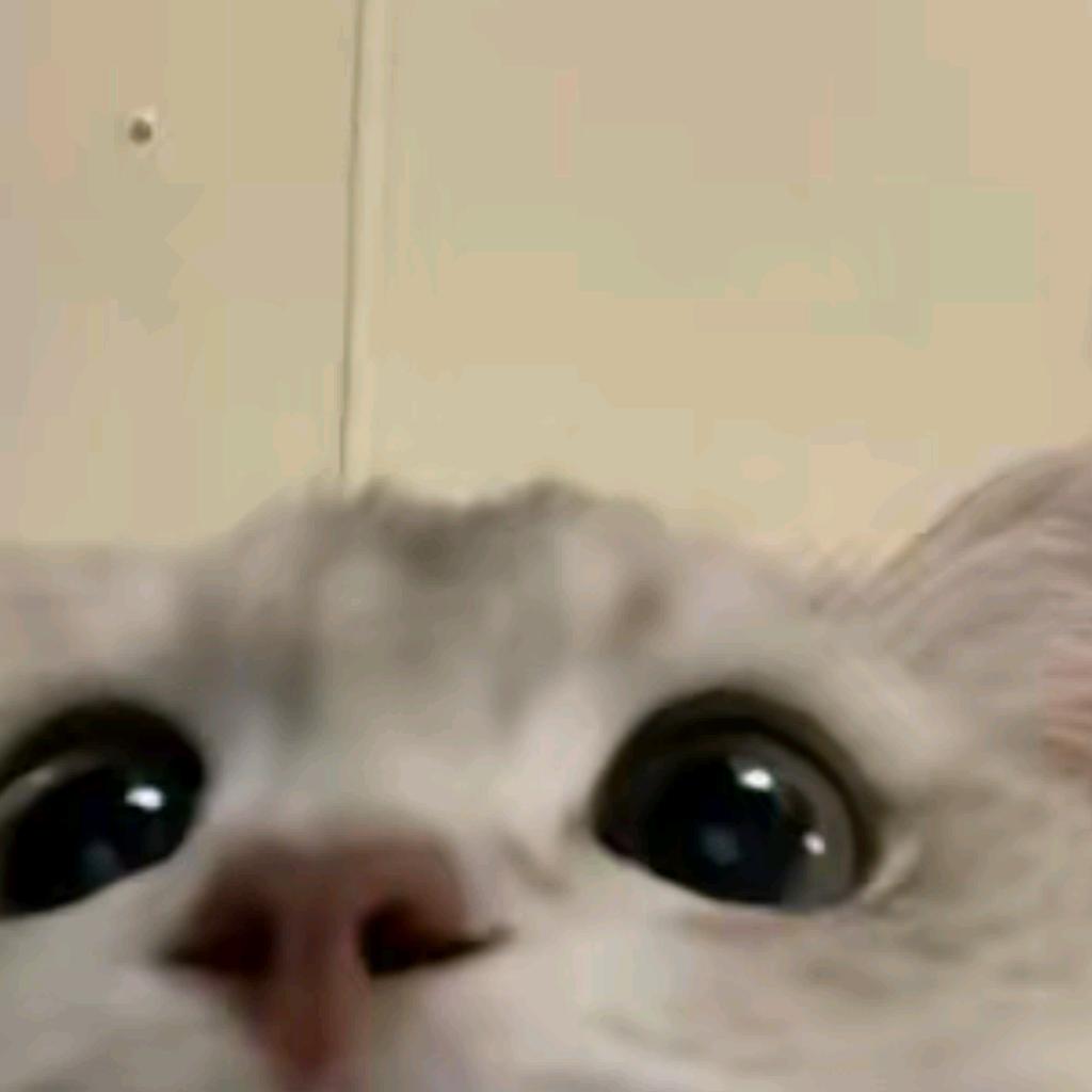 年糕大王