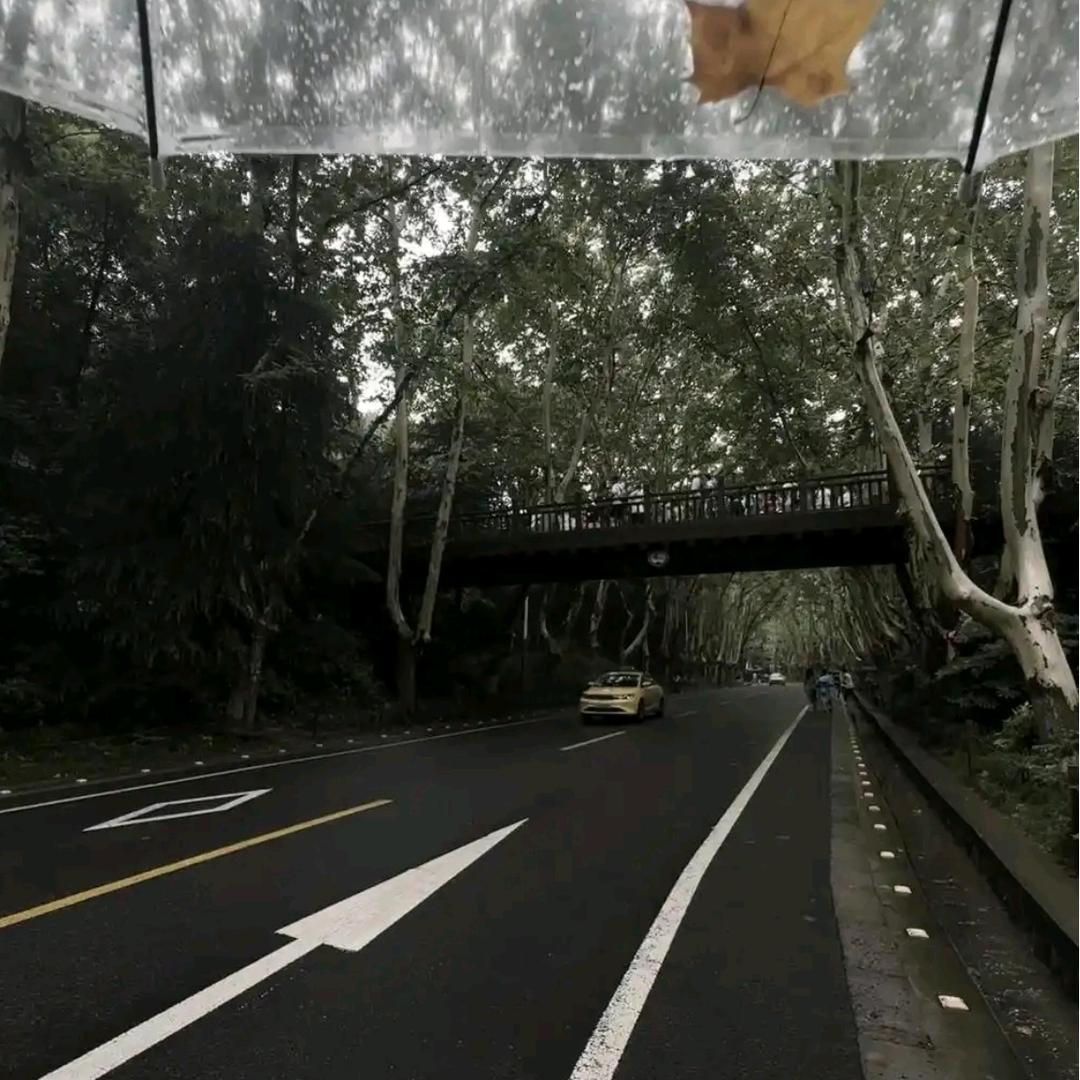 🚬ಇ᭄时来࿆ྃ运转໊࿐