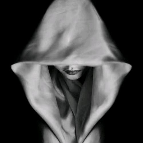 zz📷（陪拍/约拍）