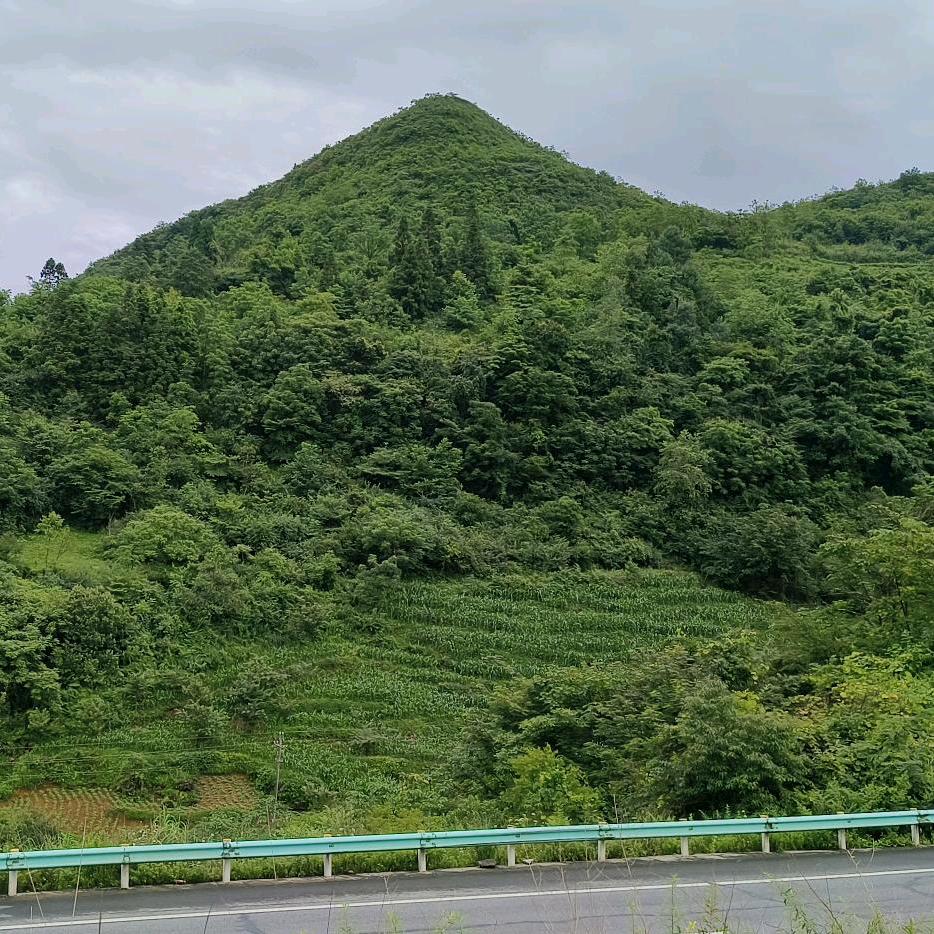 等你………