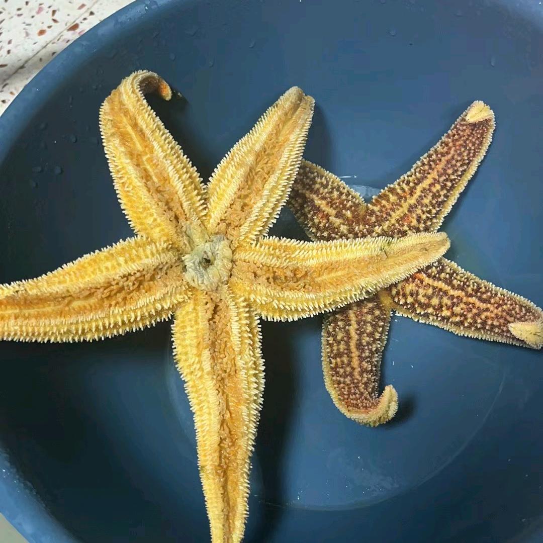 海星优选