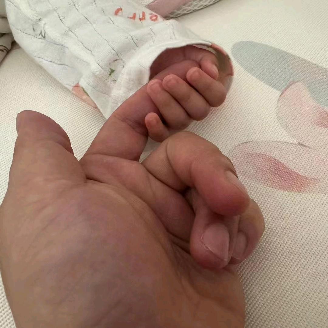 货代-欧美专线空海运曾Mr