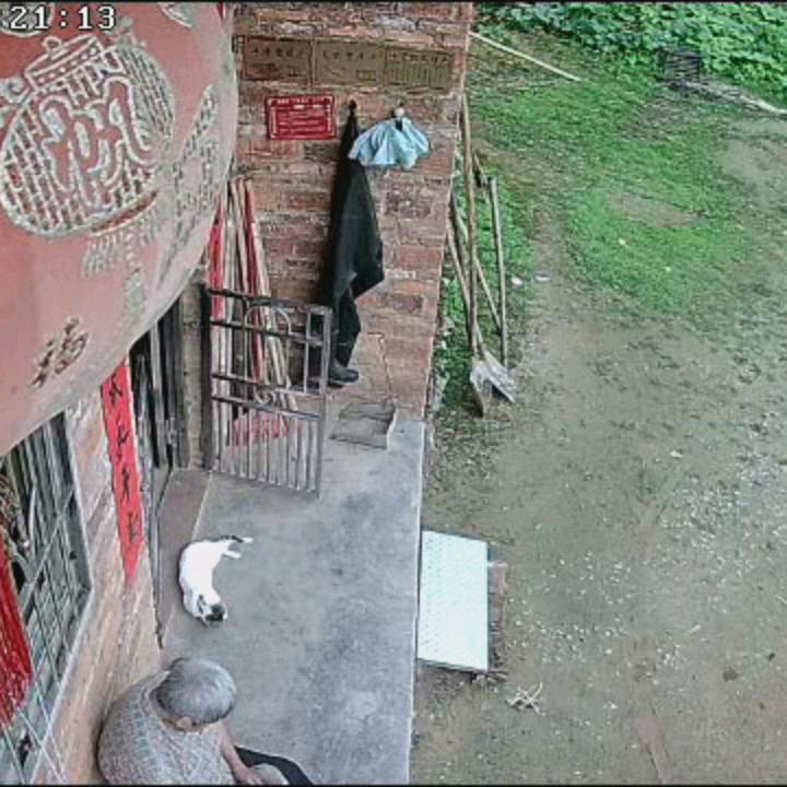 友友