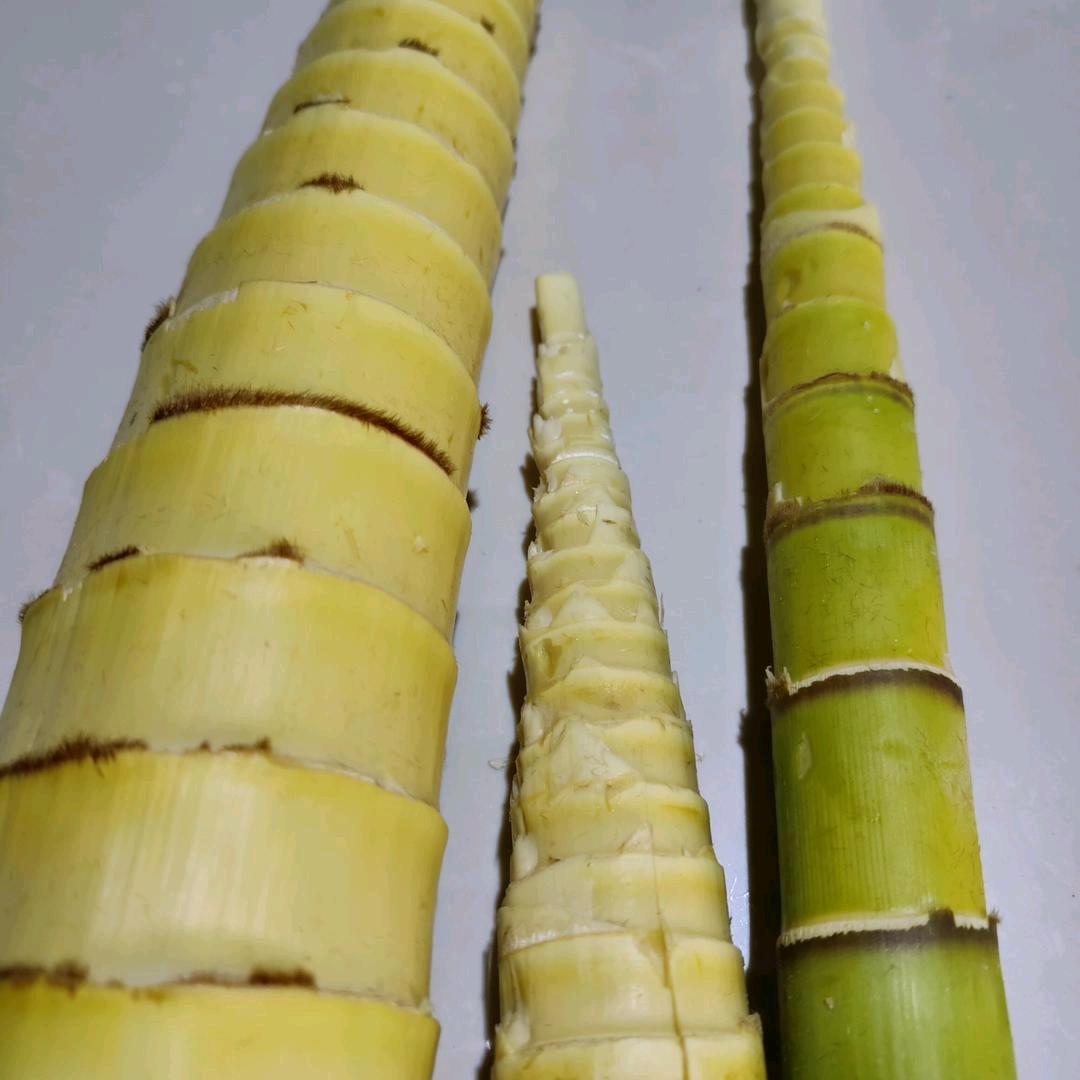 A阳光明媚