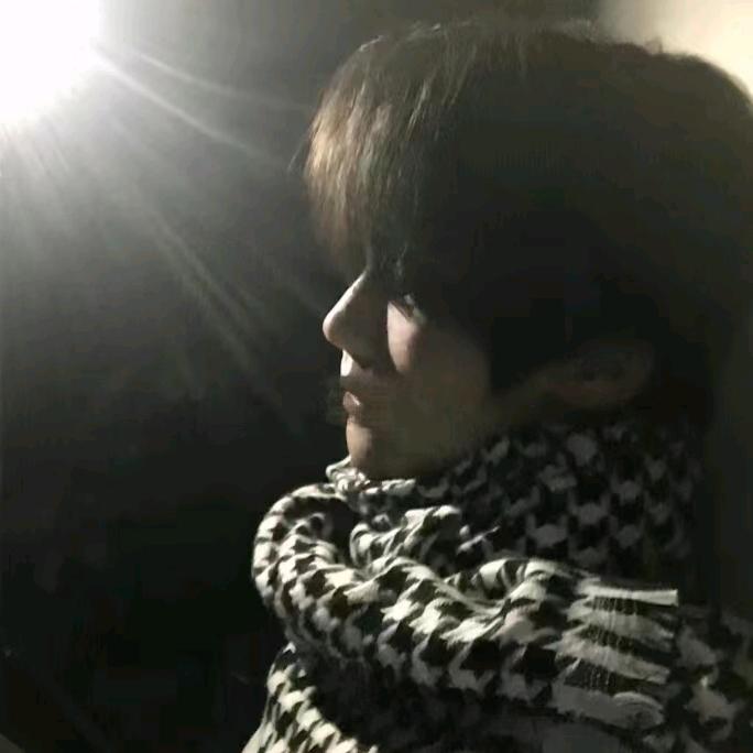 情不知所起，一往而情深