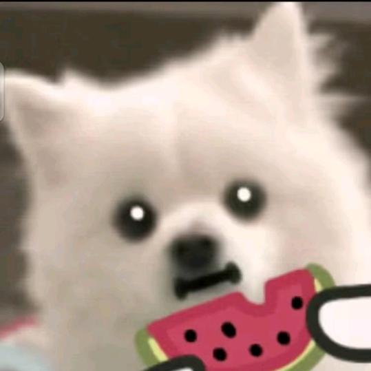 梦求真（暗区突围）