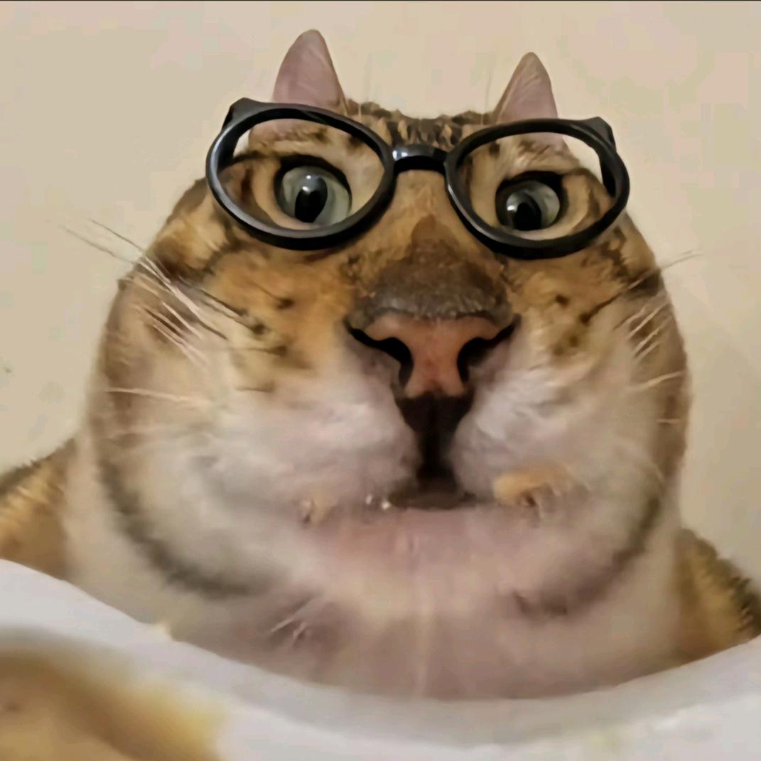 何以解忧，唯有暴富( *ˊᵕˋ)✩︎‧₊