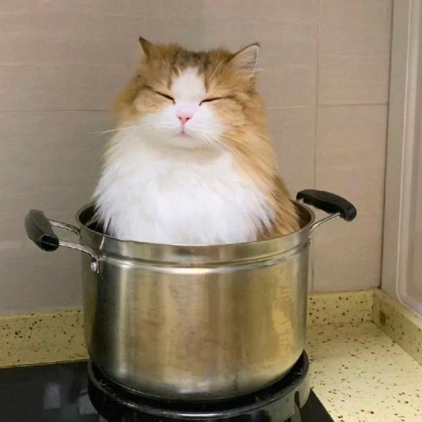 Meng_Bai