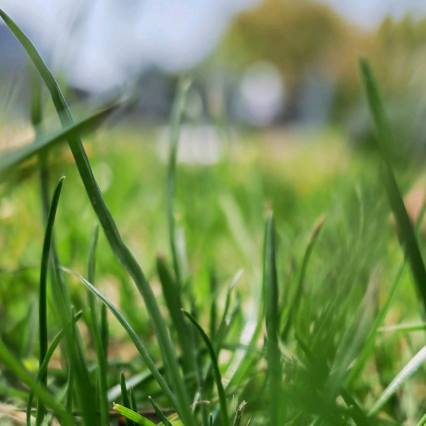 小和团购达人直播推荐