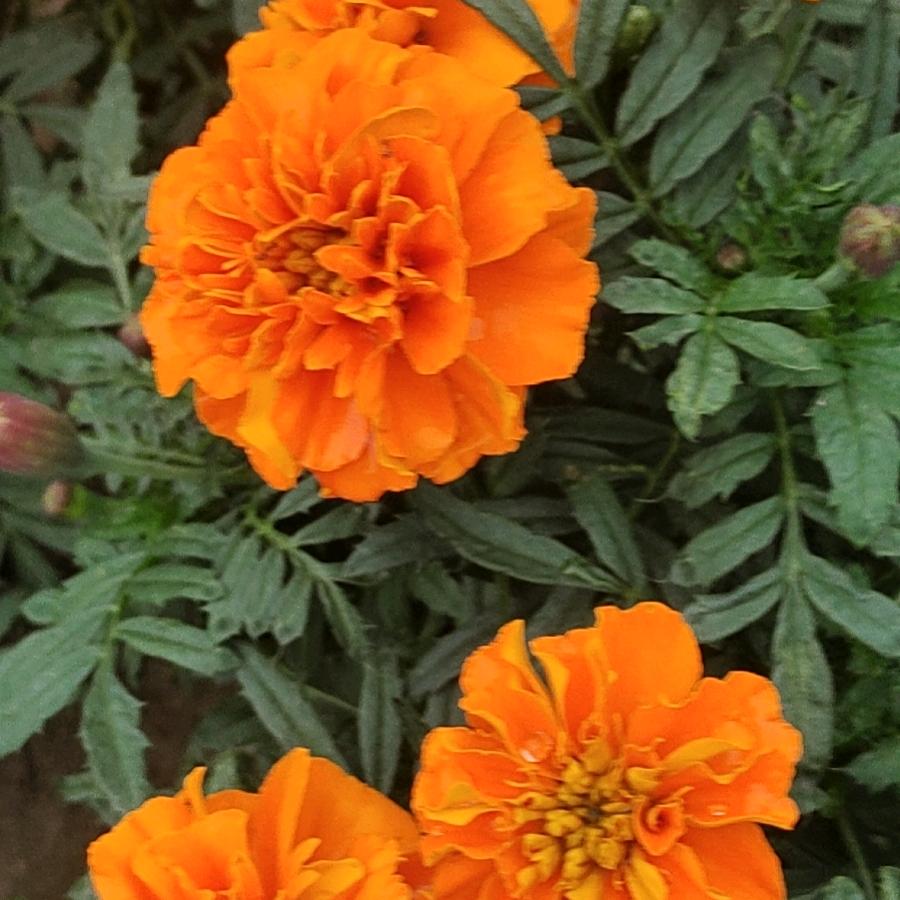 回不到过去了。感觉天都快塌下来了。🌪️