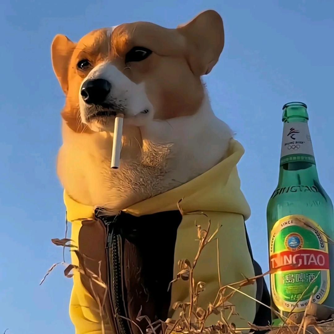 早睡大王