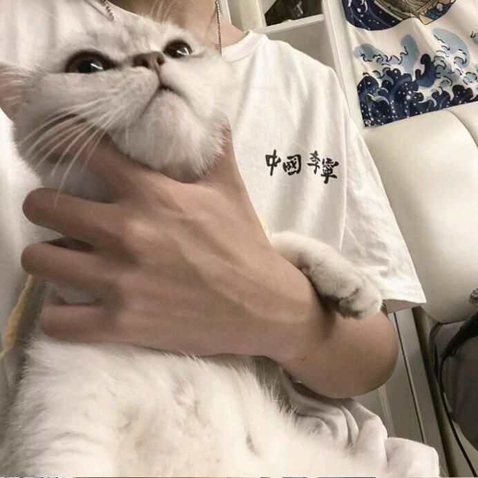 莯辰