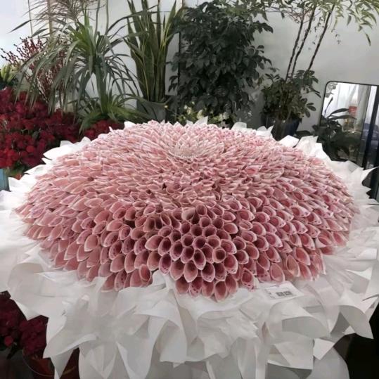 若曦花开