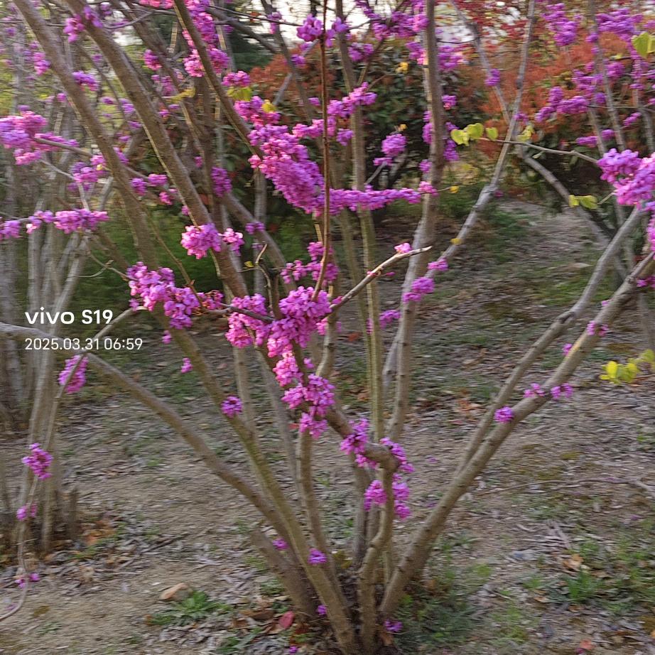三缺一