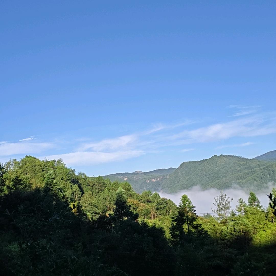 明天会更好