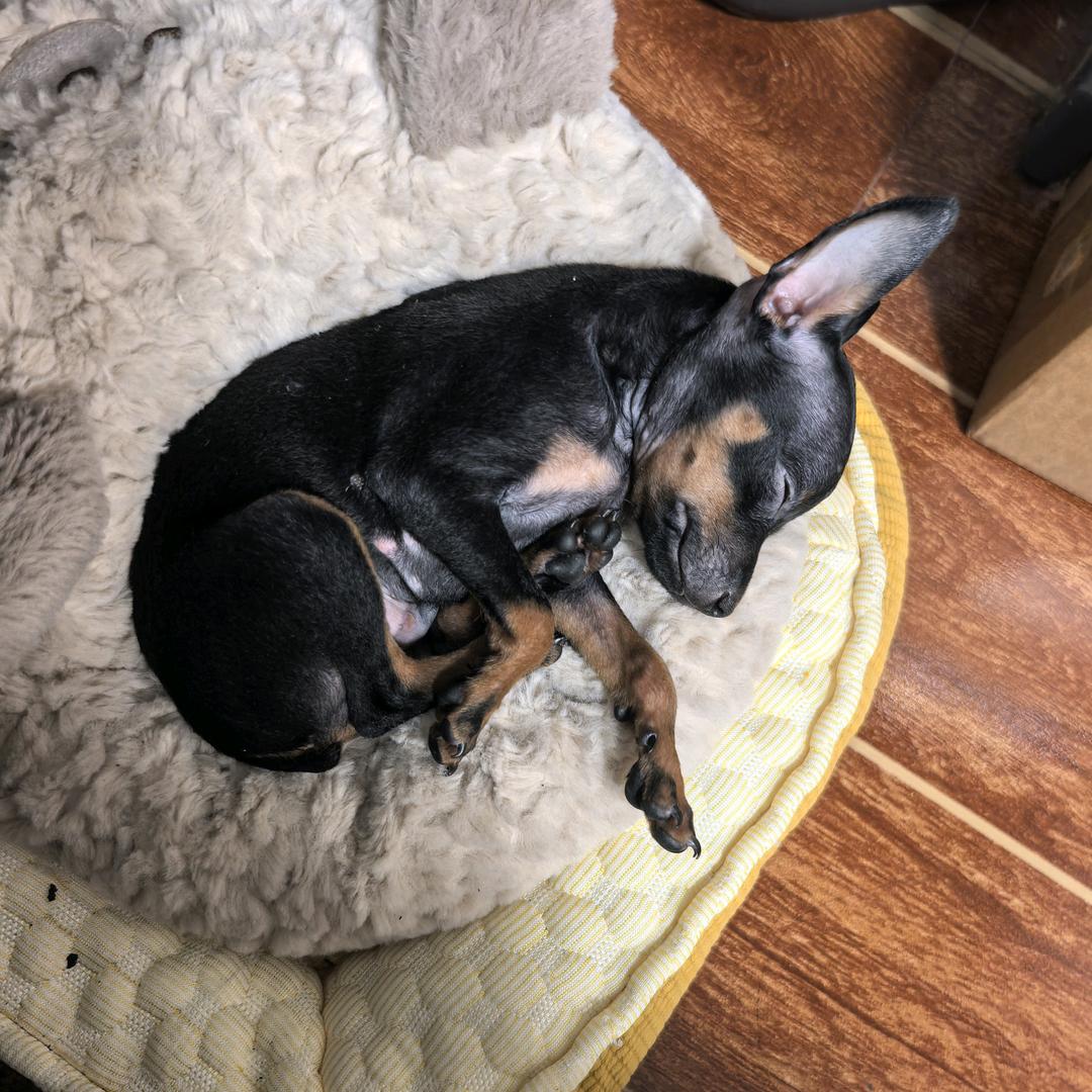 洋洋自得🧜‍♀️