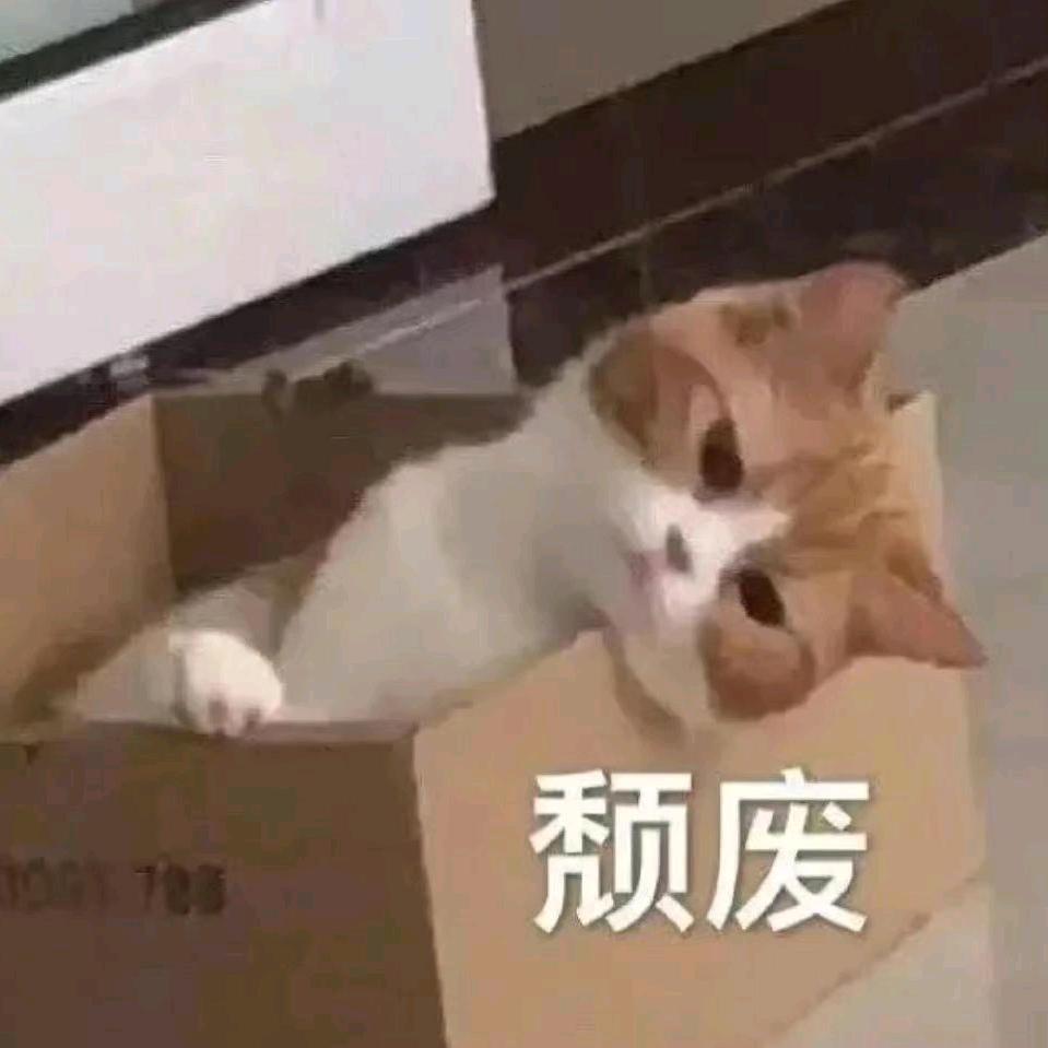 鲷烧猫的鱼