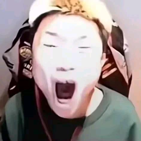 吉良吉影家的猫