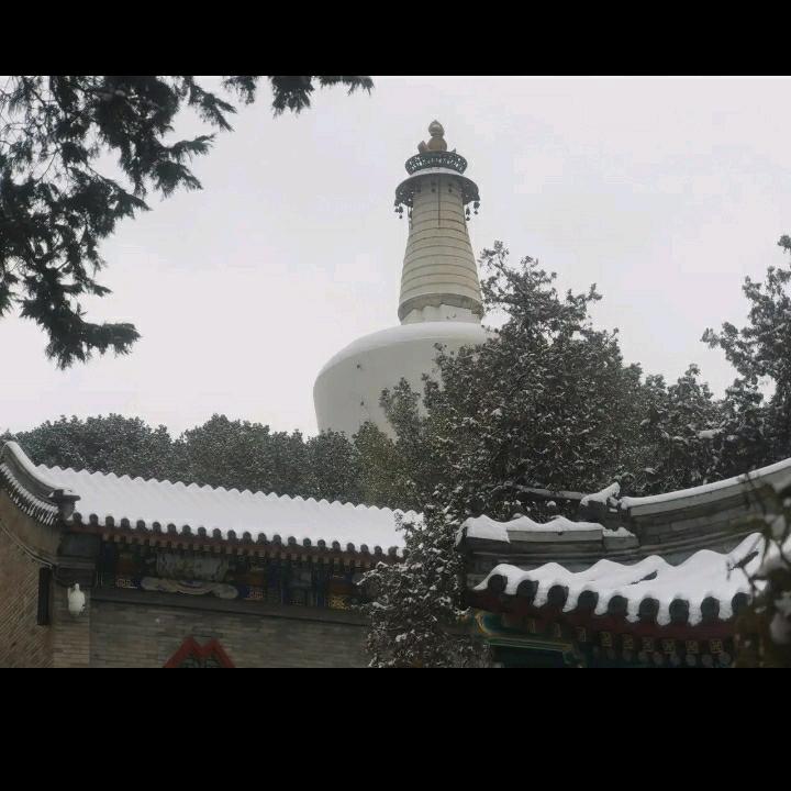 明天会更好