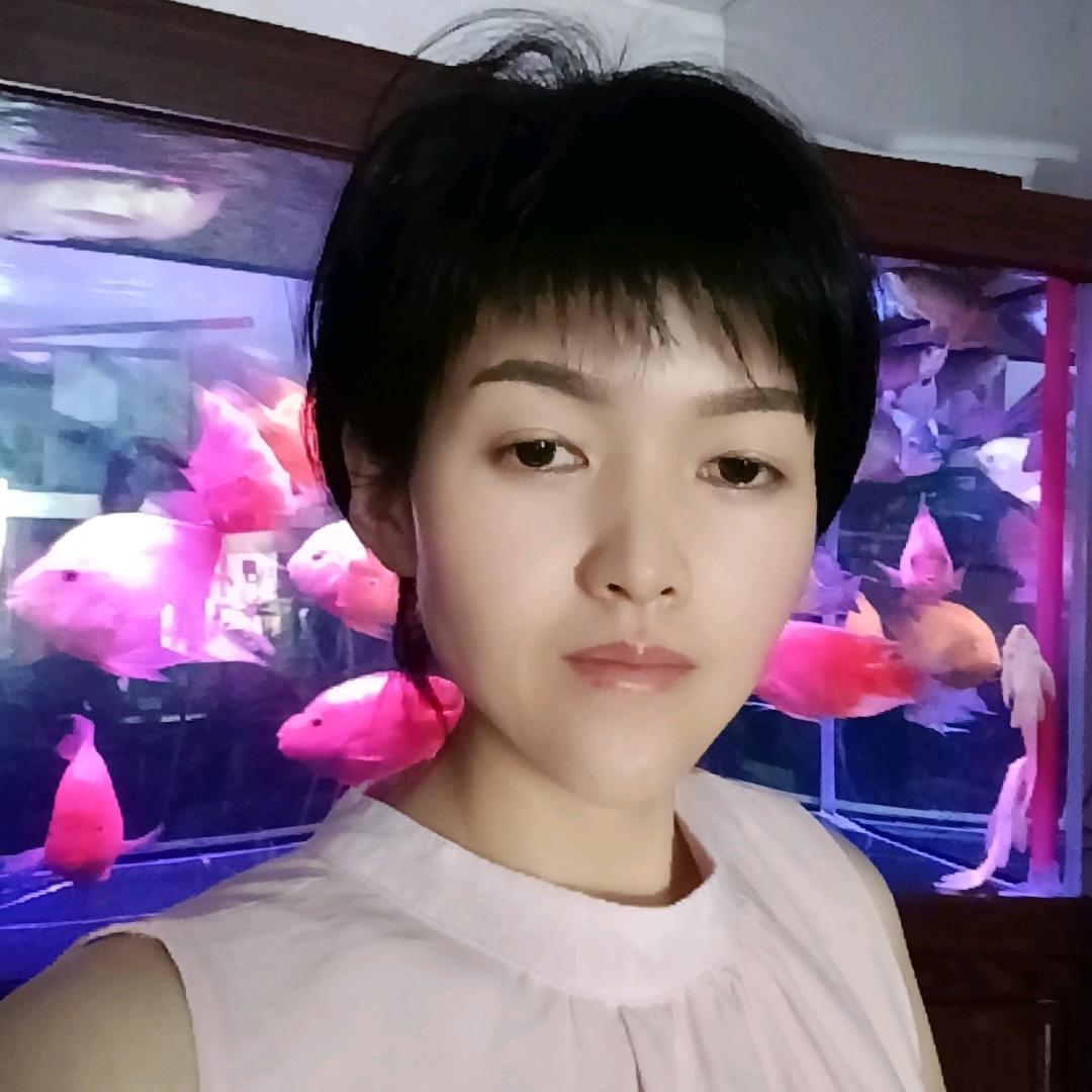 @三子  观赏鱼