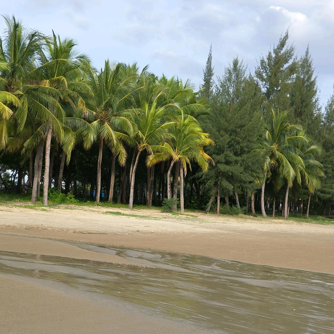 不负韶华追梦人