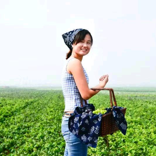梦莹(葡萄)