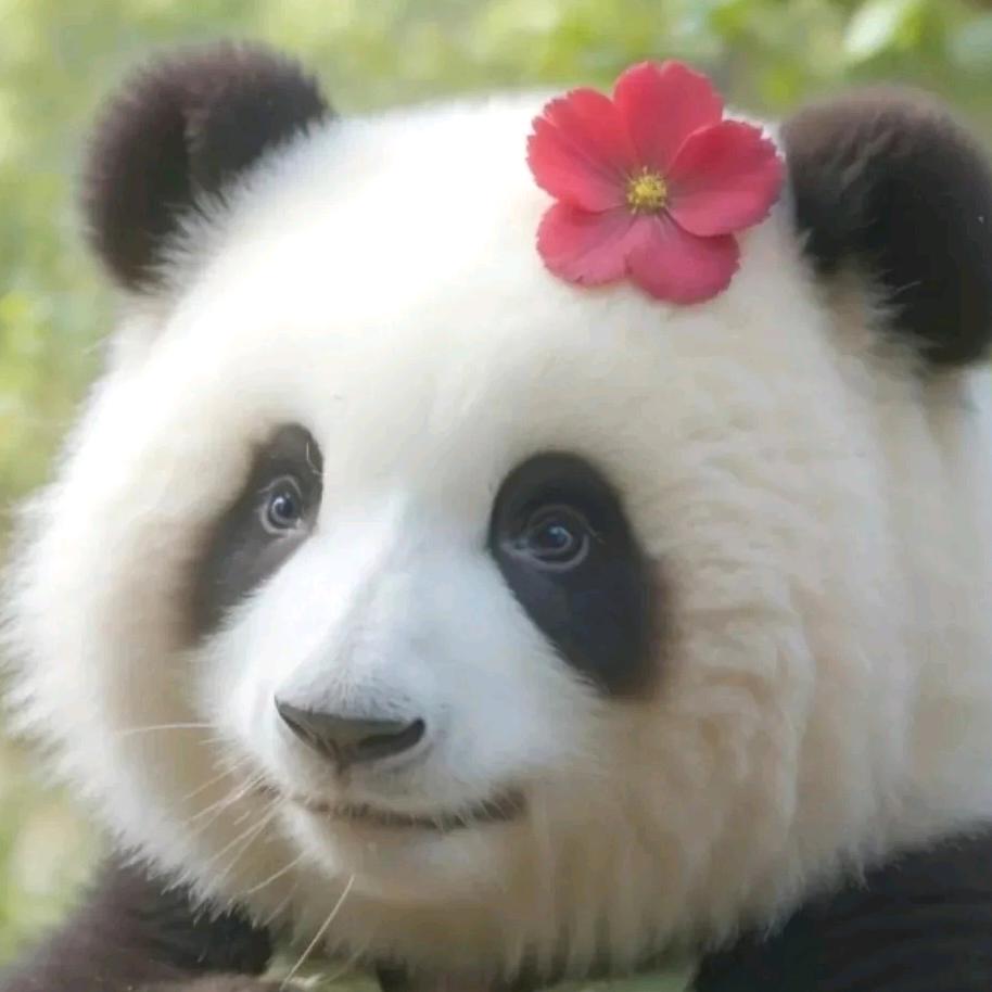 .妮妮说剪辑