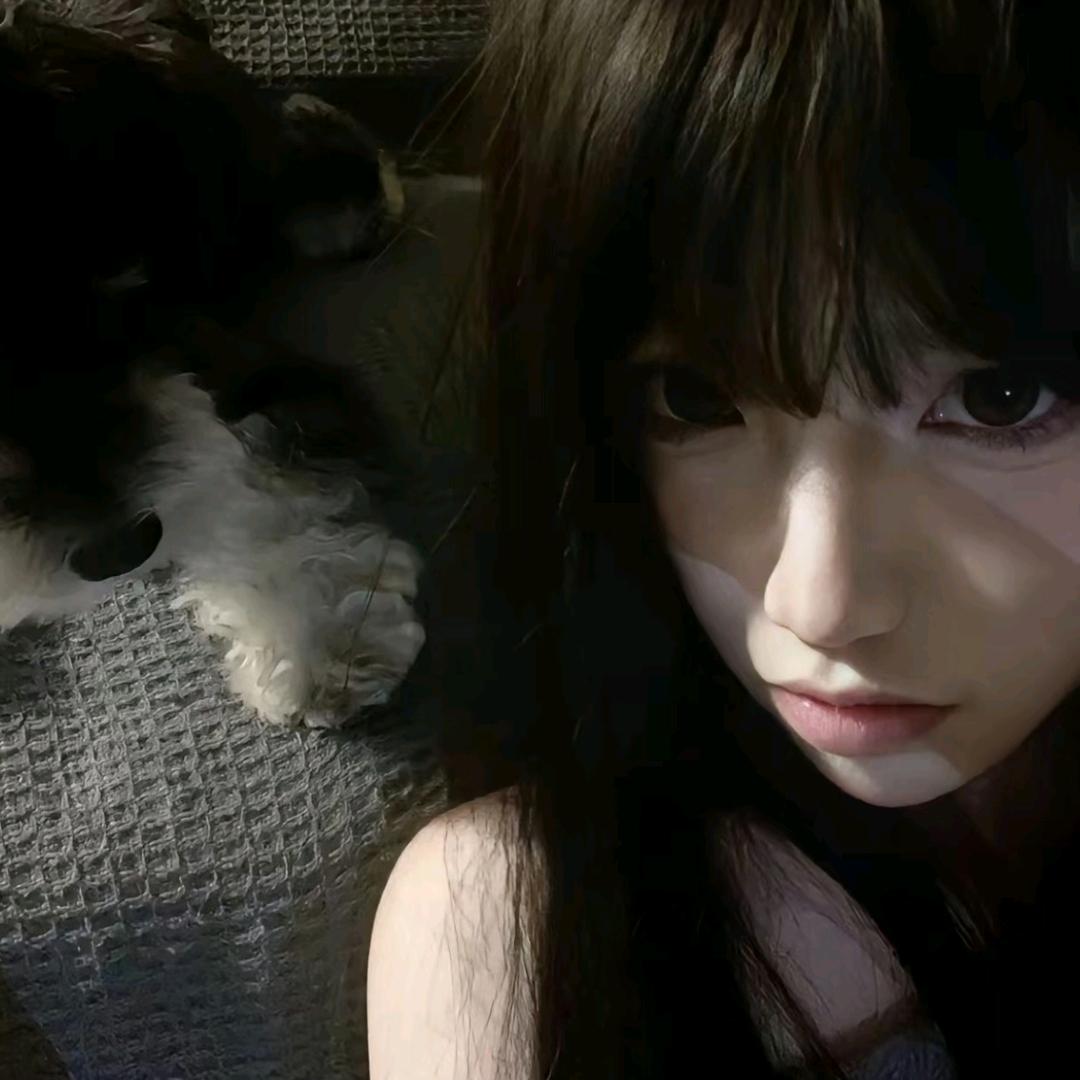 格格猫